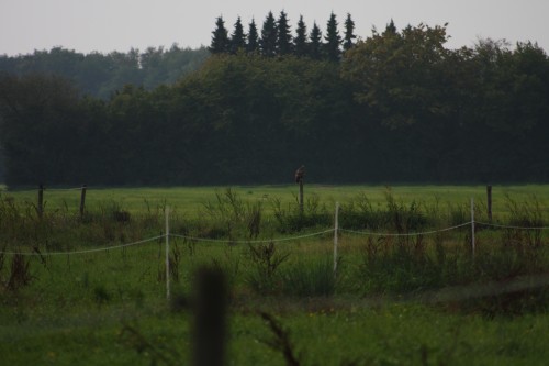 10.09.2014 15:54:15
Der Habichtweg bei Eicherloh - Garchinger Umland - Garchinger.de