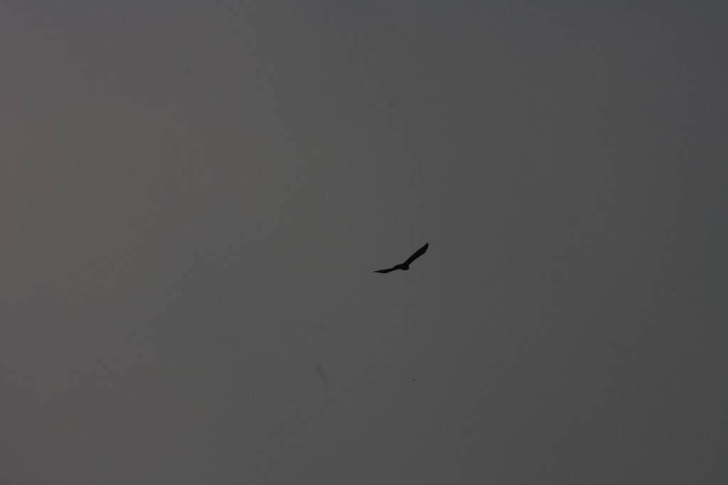 10.09.2014 15:51:38
Der Habichtweg bei Eicherloh - Garchinger Umland - Garchinger.de