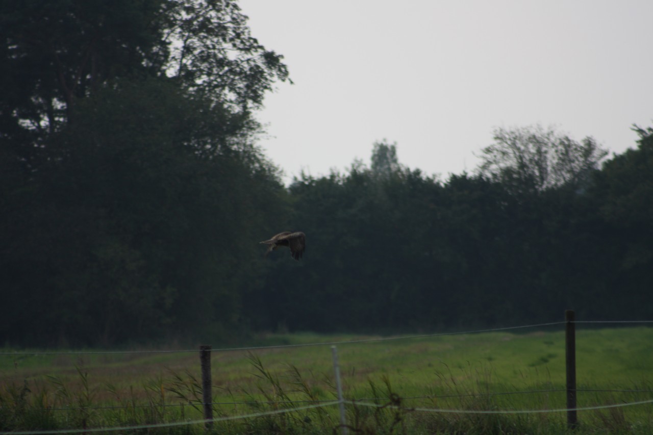 10.09.2014 15:55:05
Der Habichtweg bei Eicherloh - Garchinger Umland - Garchinger.de