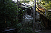 25.09.2016 16:30:43
Tipiplatz/Schrottkirche
Langwied
Garchinger Umland
Garchinger.de